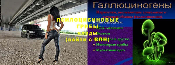 твердый Богородицк